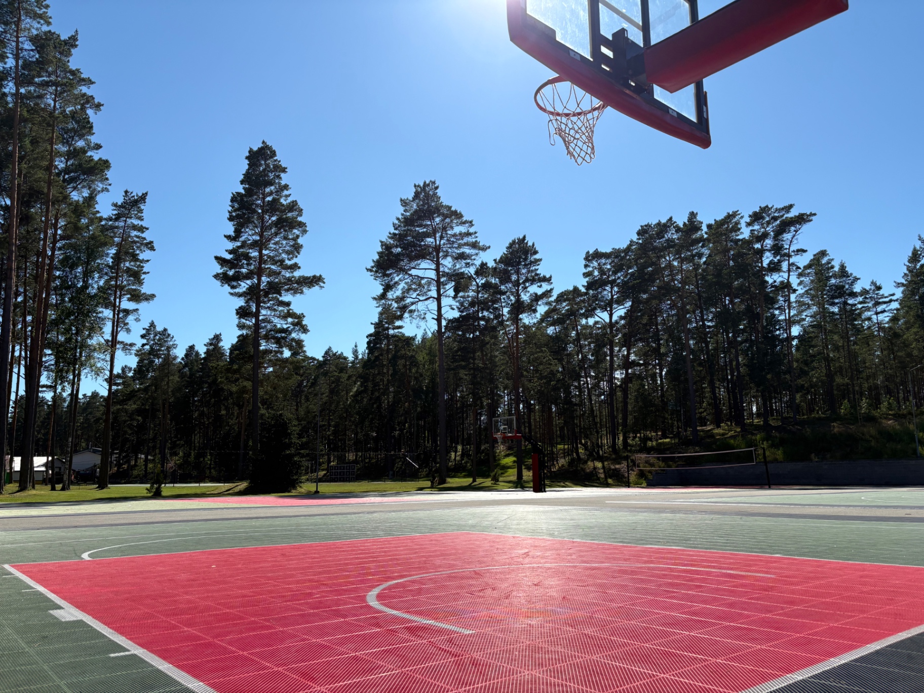 Korvpalliväljak männimetsa ääres Jõulumäel