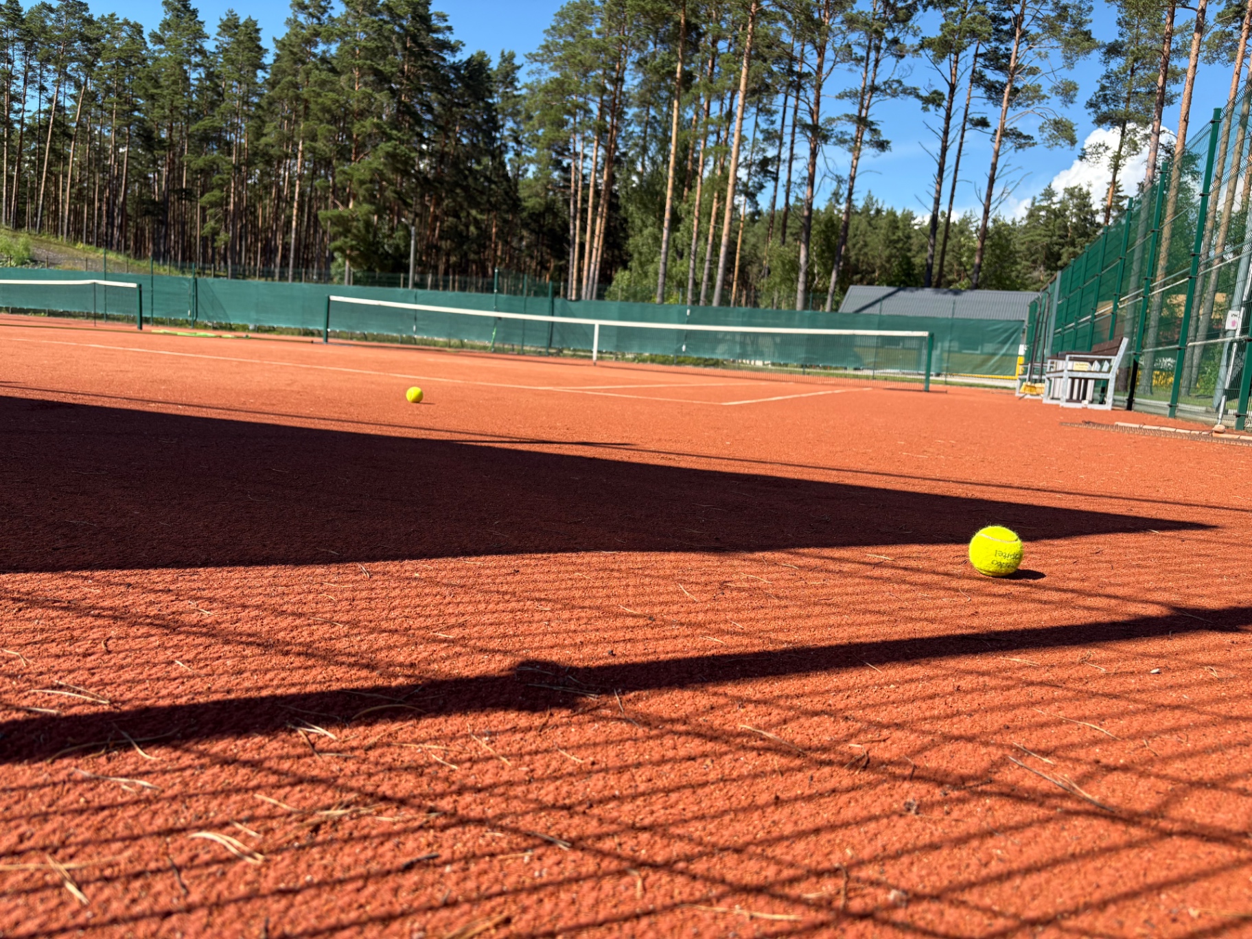 Tenniseväljak männimetsa ääres Jõulumäel